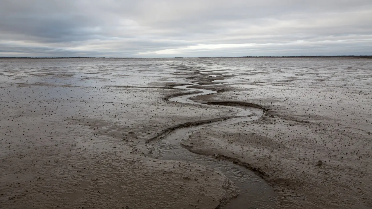 A wide mudflat at low tide with a shallow channel in the wet mud