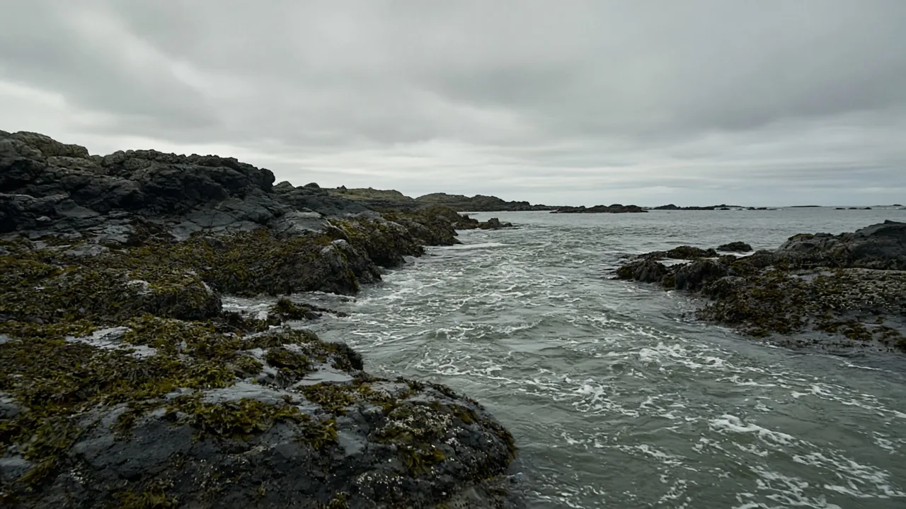 Rocky tidal channel under flat cloud, with streaks in the moving water. A generic coast, not a named test or a Grays Harbor project.